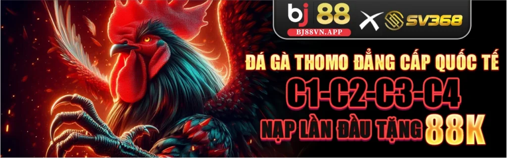 BJ88 - Link Đăng Nhập BJ 88 | Nhà Phát Hành Đá Gà Thomo Số 1 1 Bj88 x Sv368 Đá Gà Thomo Đẳng Cấp Quốc Tế C1-C2-C3-C4 Nạp lần đầu tặng 88K